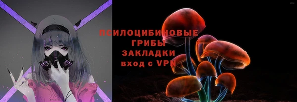 амф Пересвет