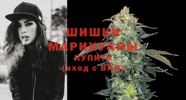 амф Пересвет