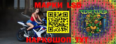 шишки Апшеронск