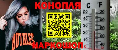 шишки Апшеронск