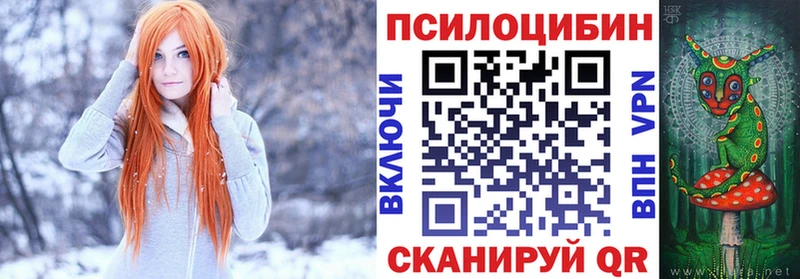 дарк нет официальный сайт  Белореченск  Галлюциногенные грибы Cubensis 