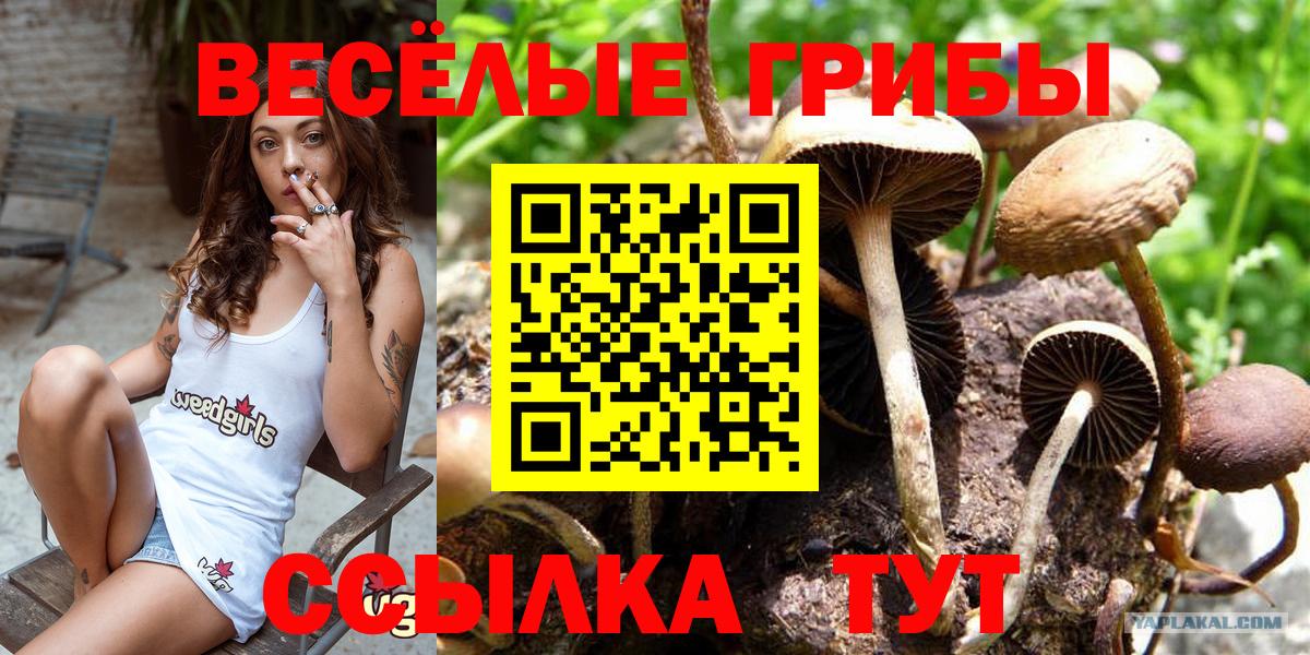 Галлюциногенные грибы Magic Shrooms  Вход с VPN  как найти закладки  Белореченск 