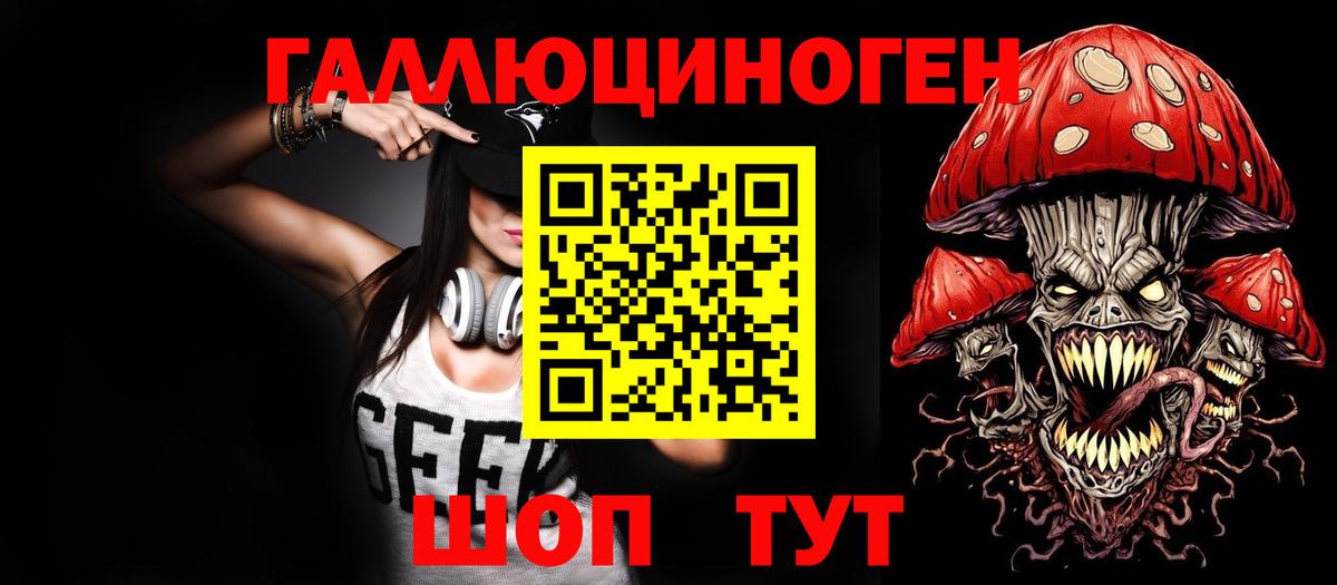 Галлюциногенные грибы Psilocybine cubensis Белореченск